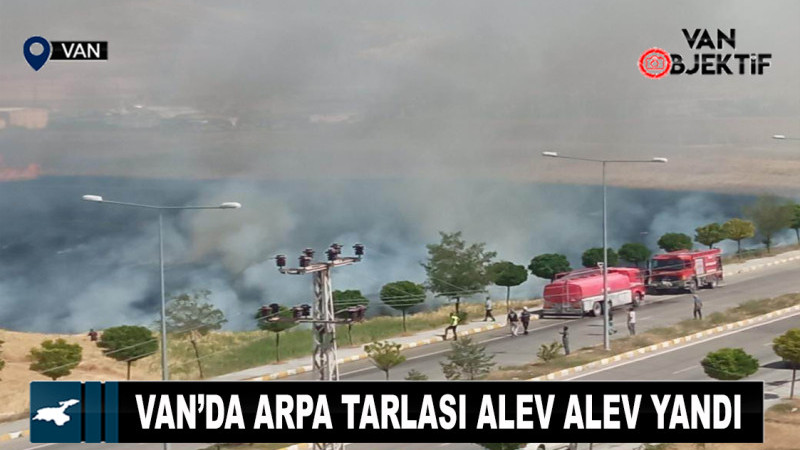 Van’da arpa tarlası alev alev yandı