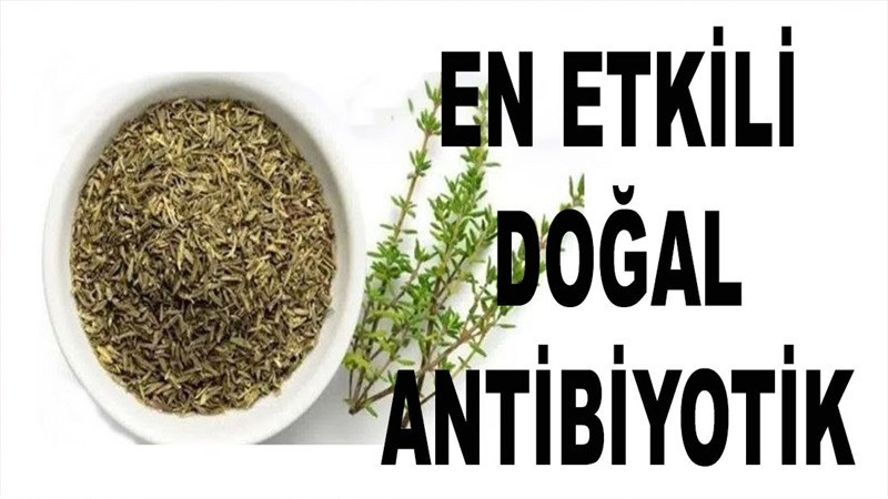 Soğuk kış günlerinin şifası….En etkili doğal antibiyotik bakın nedir?