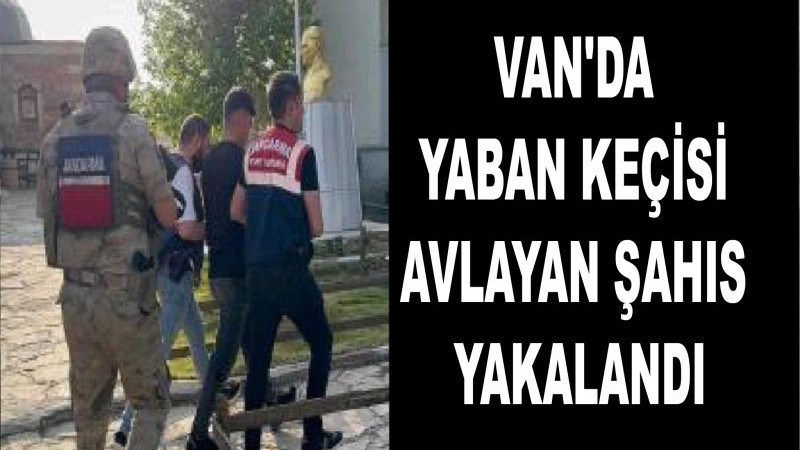 Van'da yaban keçisi avlayan şahıs yakalandı
