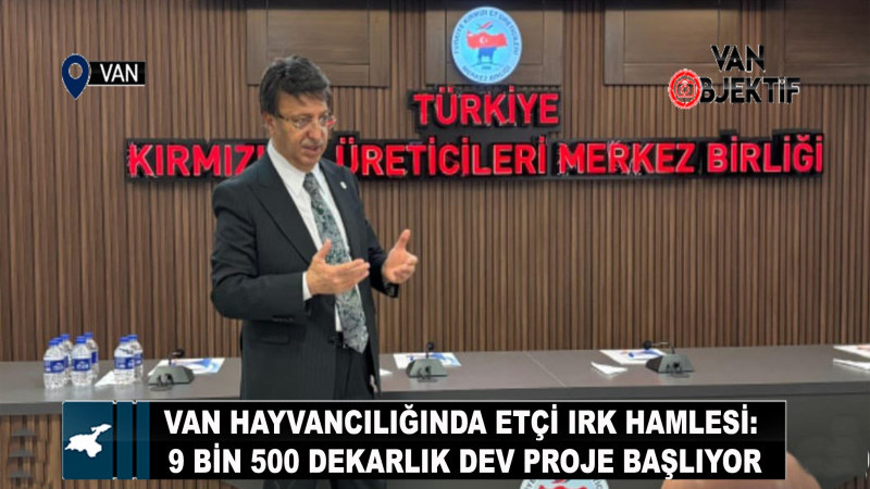 Van Hayvancılığında Etçi Irk Hamlesi: 9 Bin 500 Dekarlık Dev Proje Başlıyor