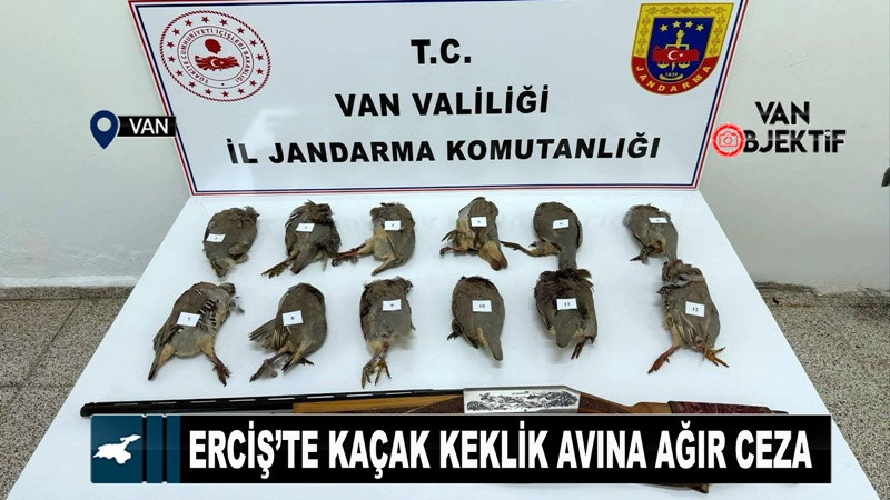 Erciş’te Kaçak Keklik Avına Ağır Ceza