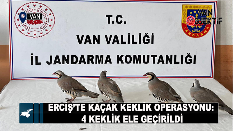 Erciş’te Kaçak Keklik Operasyonu: 4 Keklik Ele Geçirildi
