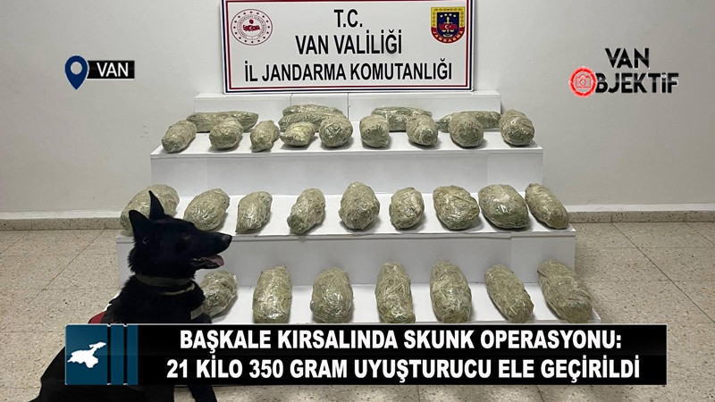 Başkale Kırsalında Skunk Operasyonu: 21 Kilo 350 Gram Uyuşturucu Ele Geçirildi
