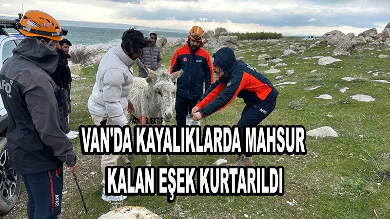 Van’da mahsur kalan eşek AFAD ekiplerince kurtarıldı