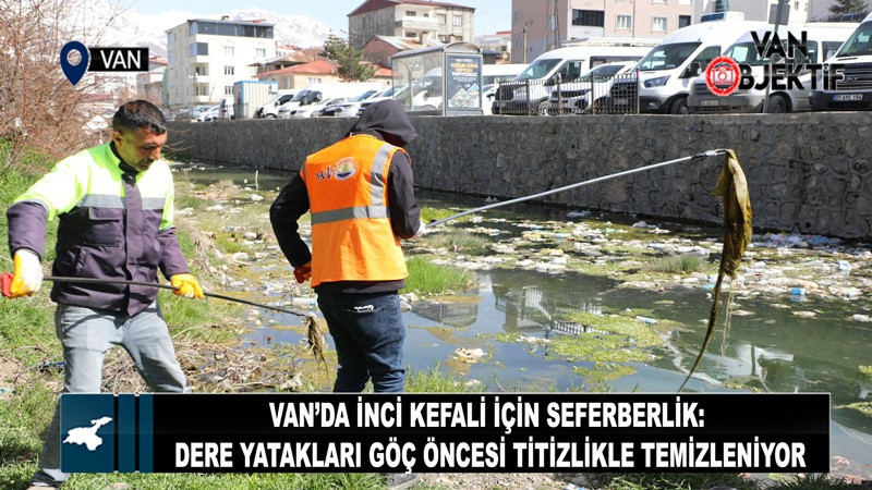 Van’da İnci Kefali İçin Seferberlik, Dere Yatakları Göç Öncesi Titizlikle Temizleniyor