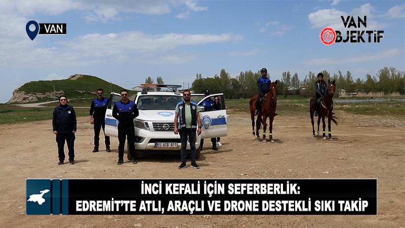 İnci Kefali İçin Seferberlik: Edremit’te Atlı, Araçlı ve Drone Destekli Sıkı Takip