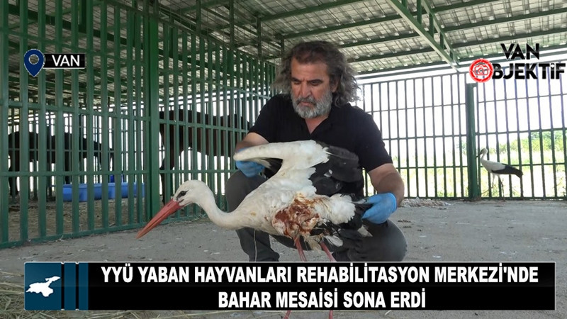 YYÜ Yaban Hayvanları Rehabilitasyon Merkezi'nde Bahar Mesaisi Sona Erdi