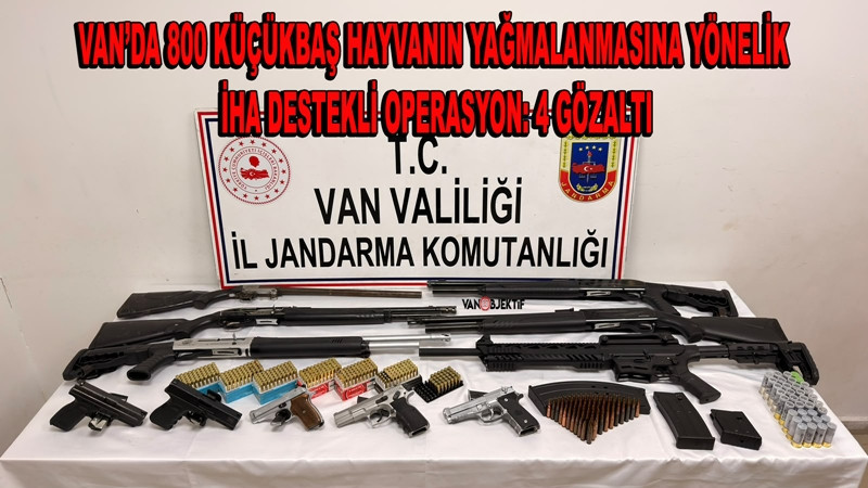 Van’da 800 küçükbaş hayvanın yağmalanmasına yönelik İHA destekli operasyon: 4 gözaltı