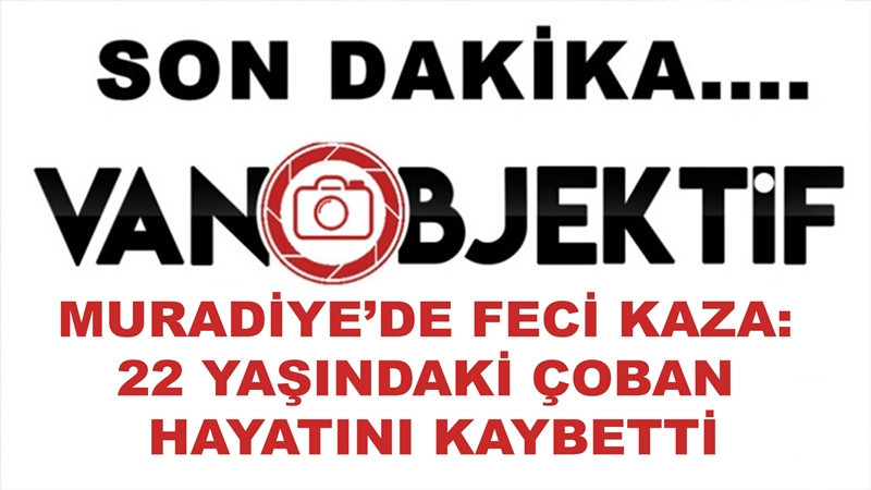 Muradiye’de Feci Kaza: 22 Yaşındaki Çoban Hayatını Kaybetti