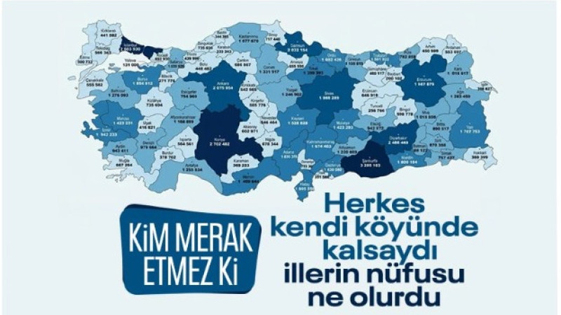 TÜİK simülasyonu yayınlandı: Herkes memleketine dönse ne olurdu?